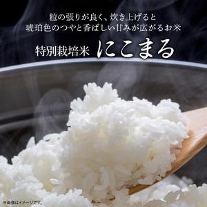 ふるさと納税 【予約受付】 四万十清流育ち！三浦さんの玄米 30kg（15kg×2） 菌の力で美味しさUP 特別栽培米 ／Fms-A19 玄米 にこまる 特.. 高知県四万十町の画像