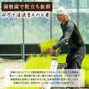 ふるさと納税 【予約受付】 四万十清流育ち！三浦さんの玄米 30kg（15kg×2） 菌の力で美味しさUP 特別栽培米 ／Fms-A19 玄米 にこまる 特.. 高知県四万十町の画像