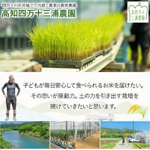 ふるさと納税 【予約受付】 四万十清流育ち！三浦さんの玄米 30kg（15kg×2） 菌の力で美味しさUP 特別栽培米 ／Fms-A19 玄米 にこまる 特.. 高知県四万十町の画像