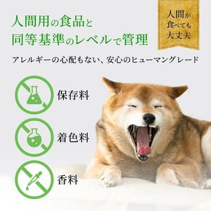ふるさと納税 ドッグフード 無添加 鹿ドライミンチ ふりかけ 40ｇ x 3袋 |  D100-3PACK 兵庫県丹波篠山市_3
