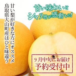 ふるさと納税 DS-06　南水梨 5kg 鳥取県大山町_2
