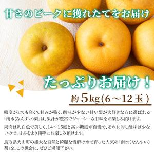ふるさと納税 DS-06　南水梨 5kg 鳥取県大山町_3