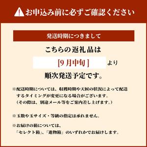 ふるさと納税 DS-06　南水梨 5kg 鳥取県大山町_4