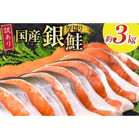ふるさと納税 訳あり 国産 減塩 厚切り 塩銀鮭 切身 計 3kg [足利本店 宮城県 気仙沼市 20565950] 宮城県気仙沼市