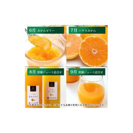 ふるさと納税 【1〜12月】柑橘 定期便 M 家庭用【全12回】【和歌山】 ※北海道・沖縄・離島への配送不可 / 定期便 フルーツ はっさく せとか .. 和歌山県広川町_3