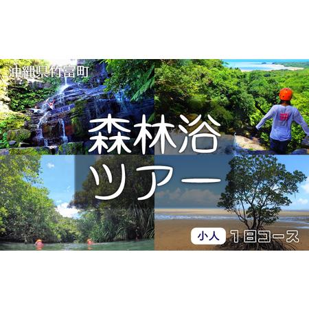 ふるさと納税 西表島 森林浴1日ツアー 小人1名分 沖縄県竹富町