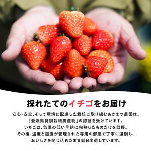 ふるさと納税 【2027年春収穫分】紅い雫 4パック（約720g） | いちご