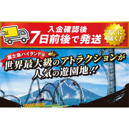 ふるさと納税 富士急ハイランド ワンデイパス ペアチケット【 遊園地