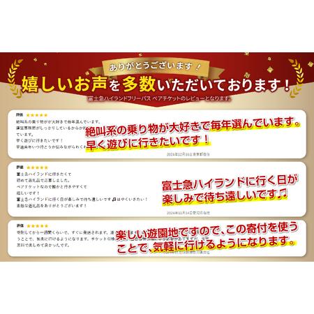 ふるさと納税 富士急ハイランド ワンデイパス ペアチケット