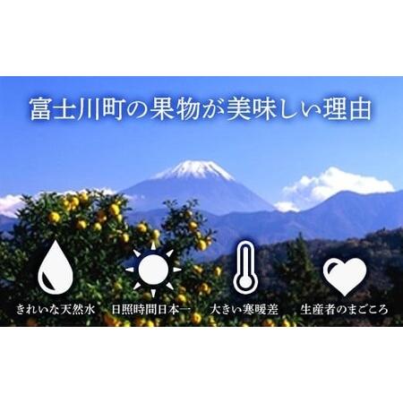 ふるさと納税 【令和８年度先行予約】贈答用！希少価値の高い高級シャインマスカット（１房 ６００ｇ以上）　シャイン シャインマスカット マ.. 山梨県富士川町_2