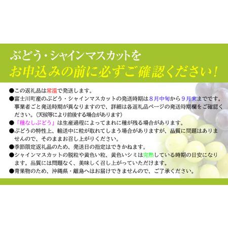 ふるさと納税 【令和８年度先行予約】贈答用！希少価値の高い高級シャインマスカット（１房 ６００ｇ以上）　シャイン シャインマスカット マ.. 山梨県富士川町_3