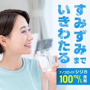 ふるさと納税 K-555-B 《定期便・全2回》天然シリカ水・アースコロイダルシリカ100(1本500ml・計48本)【アース製薬】 霧島市 水 ミネラル ナノ.. 鹿児島県霧島市の画像