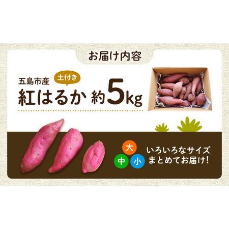 ふるさと納税 【2026年11月より発送】島の元気なさつまいも!ねっとり甘い『紅はるか』5kg 五島市/あわたに農園[PGO002] 長崎県五島市の画像