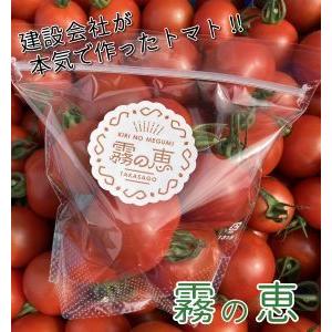 ふるさと納税 霧の恵(ミディトマト) 甘み・旨みのバランスがよく、口当たりの良いフルーツのような味わいのミディトマト[トマト 兵庫県 高砂.. 兵庫県高砂市