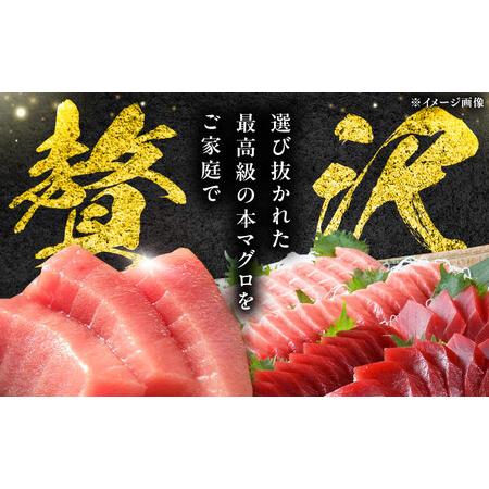 ふるさと納税 【全3回定期便】 対馬産 本マグロ 4種 計2kg（赤身/中トロ/大トロ/ネギトロ）[WAH034] マグロ まぐろ トロ 長崎県対馬市_1
