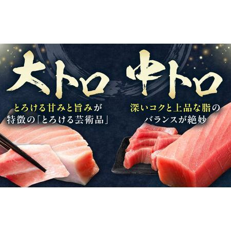 ふるさと納税 【全3回定期便】 対馬産 本マグロ 4種 計2kg（赤身/中トロ/大トロ/ネギトロ）[WAH034] マグロ まぐろ トロ 長崎県対馬市_2