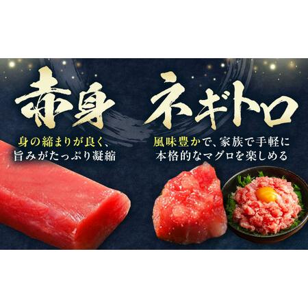 ふるさと納税 【全3回定期便】 対馬産 本マグロ 4種 計2kg（赤身/中トロ/大トロ/ネギトロ）[WAH034] マグロ まぐろ トロ 長崎県対馬市_3