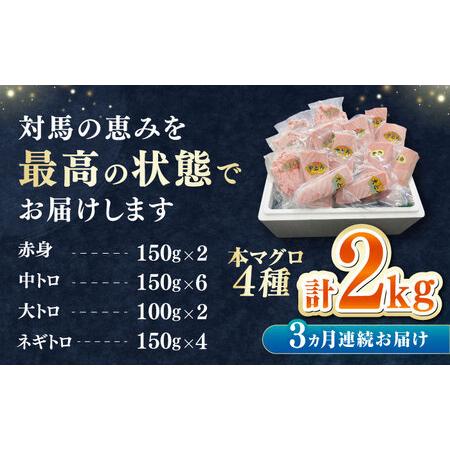 ふるさと納税 【全3回定期便】 対馬産 本マグロ 4種 計2kg（赤身/中トロ/大トロ/ネギトロ）[WAH034] マグロ まぐろ トロ 長崎県対馬市_4
