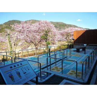 ふるさと納税 銀の湯会館 入浴券30枚　【 入浴 】  静岡県南伊豆町_4