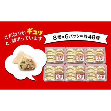 ふるさと納税 「宇都宮餃子館」スタミナ健太餃子 960g（48個）≪ギョーザ 冷凍餃子 冷凍食品 グルメ 食品 惣菜 中華惣菜 点心 中華≫ 栃木県さくら市の画像