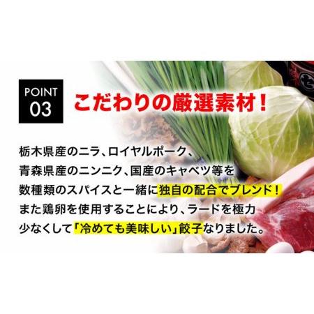 ふるさと納税 「宇都宮餃子館」スタミナ健太餃子 960g（48個）≪ギョーザ 冷凍餃子 冷凍食品 グルメ 食品 惣菜 中華惣菜 点心 中華≫ 栃木県さくら市の画像