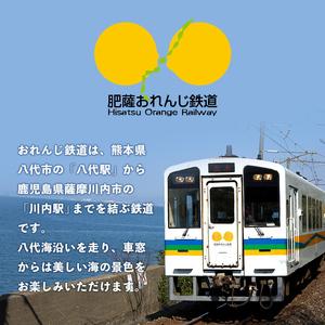 ふるさと納税 i1135 【肥薩おれんじ鉄道沿線自治体共通返礼品】肥薩おれんじ鉄道開業２０周年記念カットレール (1本) 鹿児島県 出水市 肥薩お.. 鹿児島県出水市_1