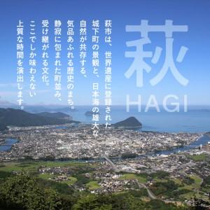 ふるさと納税 「ぶらり萩・萩焼窯元巡りＢコース」観光タクシープランペア利用券 山口県萩市_1