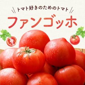 ふるさと納税 【先行予約：2026年7月下旬頃より発送】NicoFarm ファンゴッホ（中玉トマト）2Kg_Y124-0018 北海道余市町_1