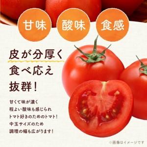 ふるさと納税 【先行予約：2026年7月下旬頃より発送】NicoFarm ファンゴッホ（中玉トマト）2Kg_Y124-0018 北海道余市町_2