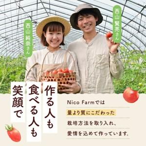 ふるさと納税 【先行予約：2026年7月下旬頃より発送】NicoFarm ファンゴッホ（中玉トマト）2Kg_Y124-0018 北海道余市町_3