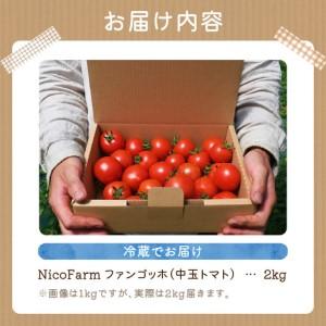 ふるさと納税 【先行予約：2026年7月下旬頃より発送】NicoFarm ファンゴッホ（中玉トマト）2Kg_Y124-0018 北海道余市町_4