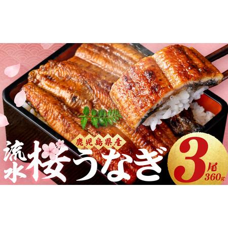 ふるさと納税 柳澤 流水桜 うなぎ 蒲焼き 計3尾[計360g] a4-096 鹿児島県志布志市
