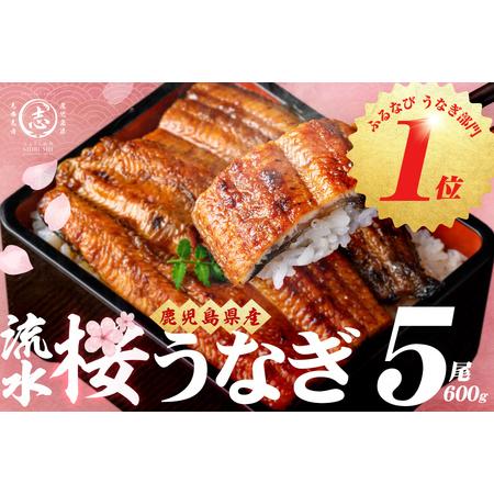 ふるさと納税 柳澤 流水桜 うなぎ 蒲焼き 5尾(600g) a9-040 鹿児島県志布志市