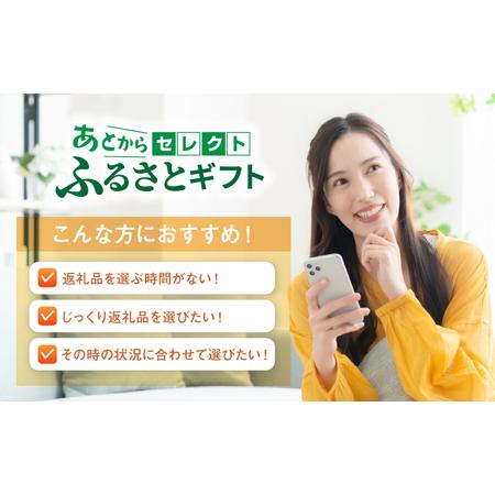 ふるさと納税 あとからセレクト 波佐見町ふるさとギフト 7万円分 あとから選べる カタログギフト[FB99] 長崎県波佐見町の画像