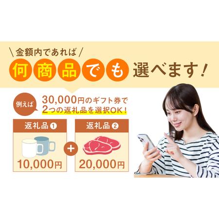 ふるさと納税 あとからセレクト 波佐見町ふるさとギフト 7万円分 あとから選べる カタログギフト[FB99] 長崎県波佐見町の画像