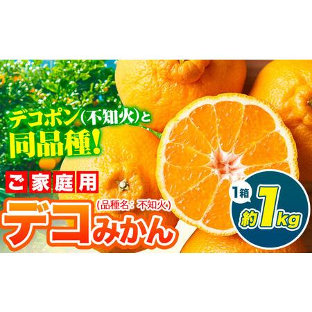 ふるさと納税 デコみかん 1kg 訳あり みかん 熊本県津奈木町