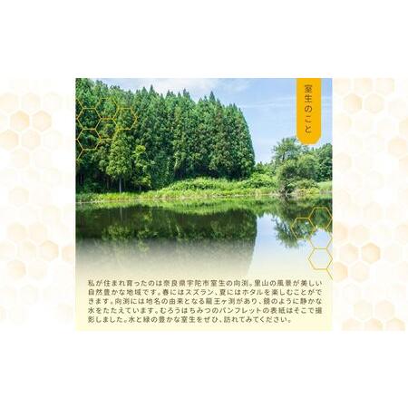 ふるさと納税 奈良産純粋はちみつ300g×3個(900g)／ むろうはちみつ 66832 室生 国産 蜂蜜 ハニー ギフト お取り寄せ ふくさきわう 奈良県 .. 奈良県宇陀市の画像