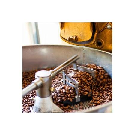 [即日発送] ふるさと納税 コーヒー　おすすめ　人気　【6ヶ月頒布会】スペシャルティコーヒー おまかせ2種 各200g シルバーセット 豆のまま 定期便(1回目)〜.. 大阪府和泉市 【OCQ8883914876】(31280円)