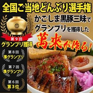 ふるさと納税 ＜入金確認後、2週間以内に発送！＞鹿児島産 黒豚 角煮 飯 12個 セット a5-289-2w 鹿児島県志布志市の画像