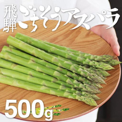 ふるさと納税 [2026年先行予約]飛騨のごちそうアスパラ L-2Lサイズ 500g アスパラガス syun77 岐阜県飛騨市