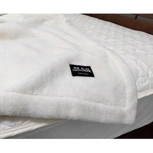 ふるさと納税 毛布 シングル サイズ 140×200 tussah SILK 贅沢 シルク 100% 毛羽部分 ブランケット シルク毛布 タッサーシルク 肌掛け 肌.. 大阪府岸和田市_2