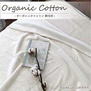 ふるさと納税 毛布 シングル 140×200cm アイボリー 贅沢 ふわふわ オーガニックコットン 綿毛布 ブランケット 肌掛け 肌掛け布団 肌布団 .. 大阪府岸和田市