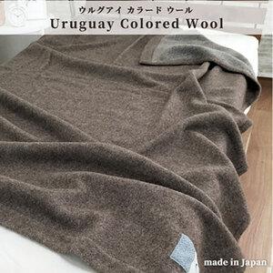 ふるさと納税 毛布 シングル サイズ 140×200 ブラウン ウルグアイ カラード ウール混毛布 ブランケット ウール毛布 肌掛け 肌掛け布団 肌.. 大阪府岸和田市