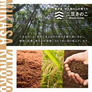 ふるさと納税 国産のえのきやきのこ使用！濃いきのこの炊き込みご飯の素(2合用×30袋) 国産 だし醤油 きのこご飯 椎茸 しいたけ 【三笠.. 鹿児島県阿久根市_1