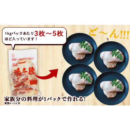 ふるさと納税 ＜愛媛県産 銘柄鶏 浜千鶏（はまちどり）若鶏もも肉 3kg（1kg×3）6ヶ月定期便＞ 国産 鶏肉 鳥肉 とり チキン モモ肉 はまちど.. 愛媛県西予市の画像