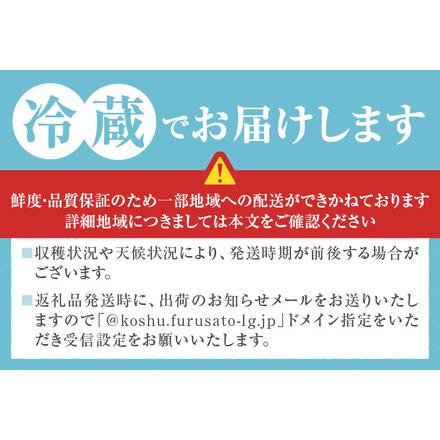 ふるさと納税 農家直送 訳あり 桃 約3kg 7〜15玉【2026年発送】（YKI）A08-990 【桃 もも モモ 令和8年発送 期間限定 山梨県産 甲州市 フルーツ .. 山梨県甲州市の画像