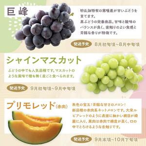 ふるさと納税 1015.【先行予約 2026年8月以降発送】 鳥取県北栄町から旬の美味しさをお届け！特産づくし【5回定期便】 鳥取県北栄町_1
