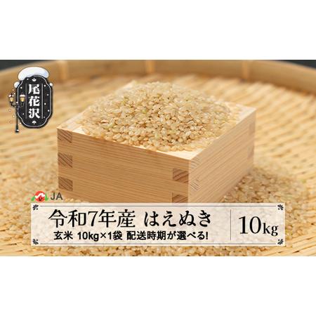 ふるさと納税 令和7年産 玄米 はえぬき 10kg 選べる配送時期 2月下旬~6