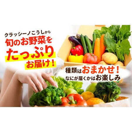 ふるさと納税 合志の旬のお野菜セット 15品から16品  野菜[AYAB112] 熊本県合志市_1
