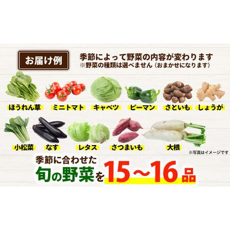 ふるさと納税 合志の旬のお野菜セット 15品から16品  野菜[AYAB112] 熊本県合志市_3
